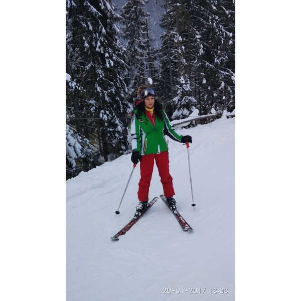 Darina