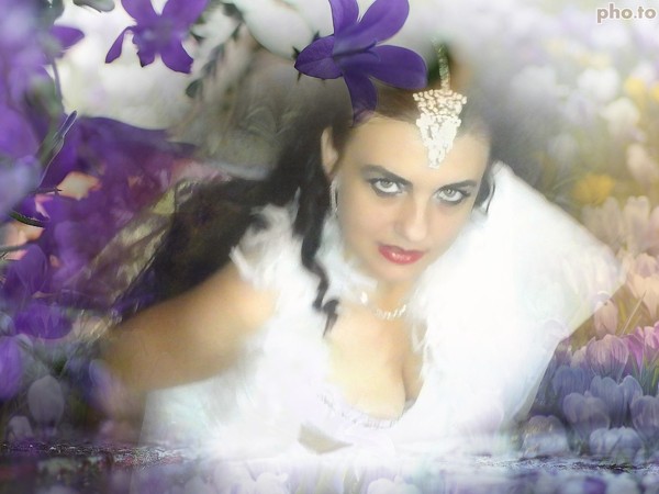 Anni Malkani