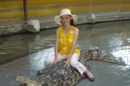 Gyul