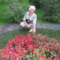 Elena,  (Ukraine), 67/158/65