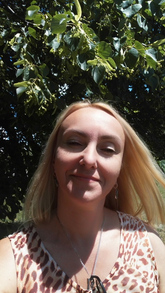 veta