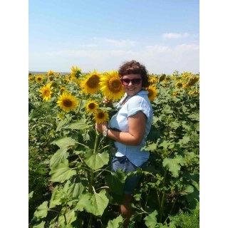 Antonina Antonina