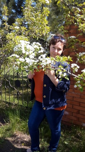 Antonina
