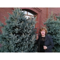 GALINA,  (Kazakhstan), 63/168/75