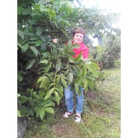 Svetlana, Kaliningrad (Russia), 63/164/80