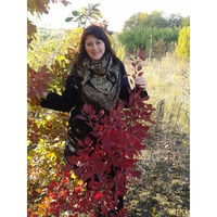 Elena,  (Ukraine), 52/180/90