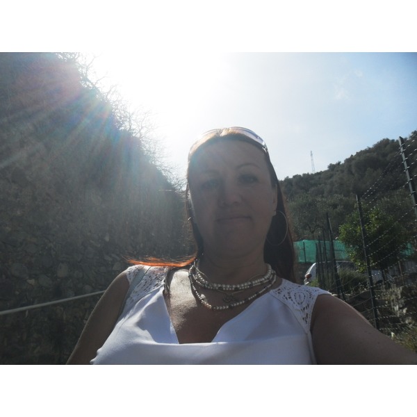 Aneli