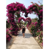 Galina, Tambov (Russia), 71/154/66