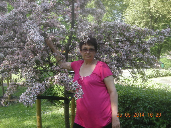 ljubov ljubov