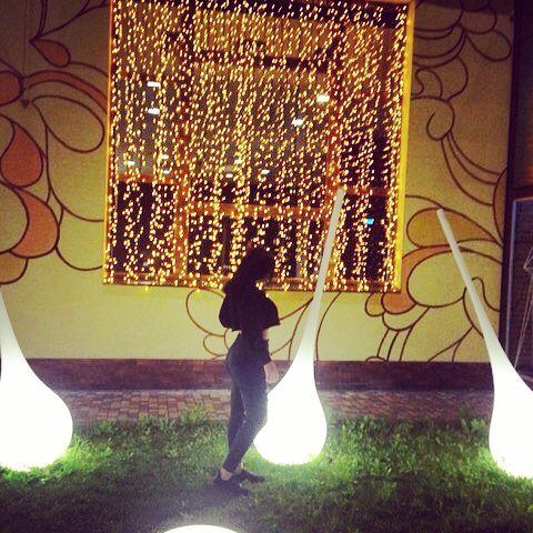 Elvina Elvina