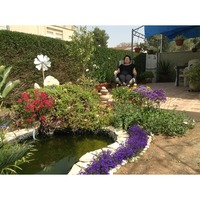 Linda, Haifa (Israel), 65/154/60