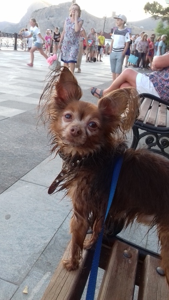 Helen
