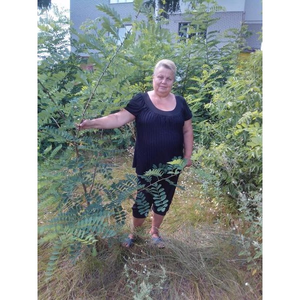 Alla Potopa Vladimir Alla Potopa Vladimir