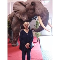 Elizabeta, Terni (Italy), 71/160/75