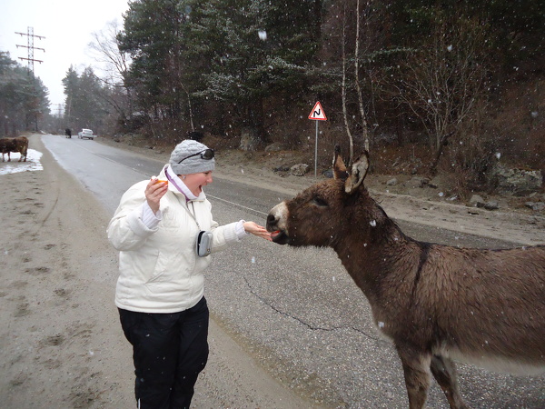 Elena Prokoshina Elena Prokoshina