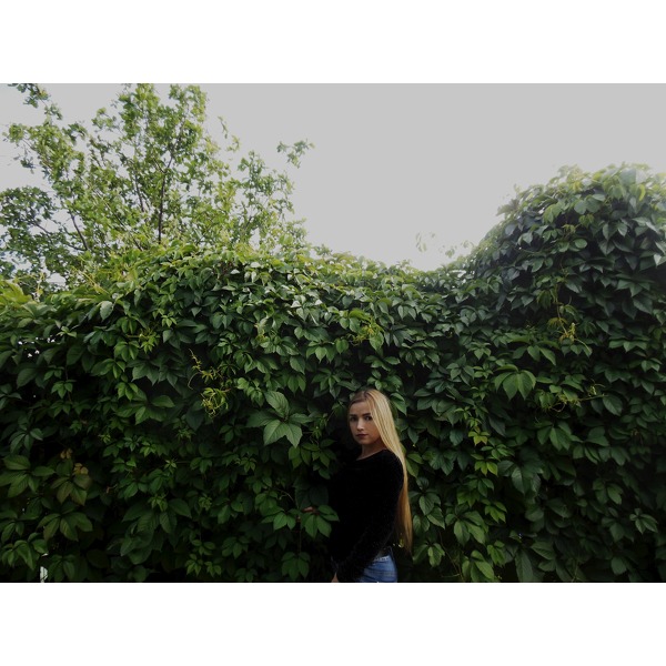 Lyuba