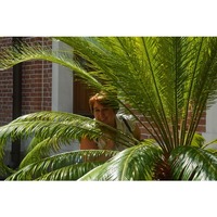 Elena, Moscow (Russia), 47/165/80