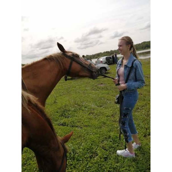Vlada