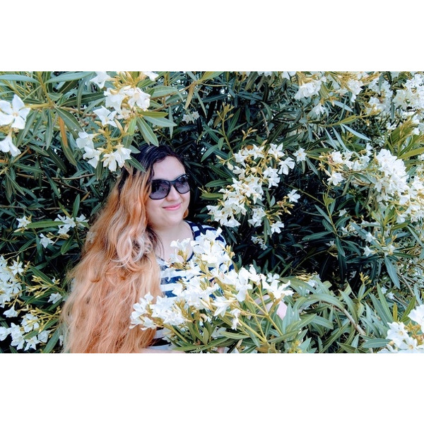Sofia