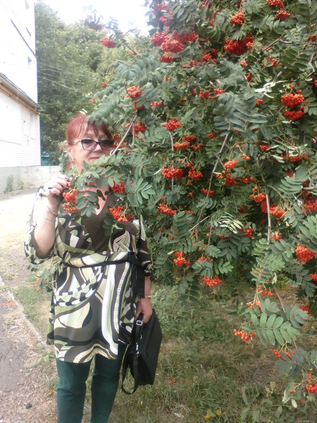 Proskurova Lyudmila Proskurova Lyudmila