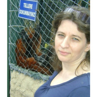 Ellok, Istanbul (Turkey), 47/170/73