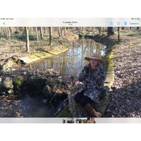 Margarita, Kingdom (United), 60/163/68