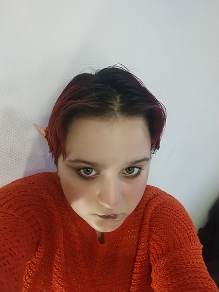 darina