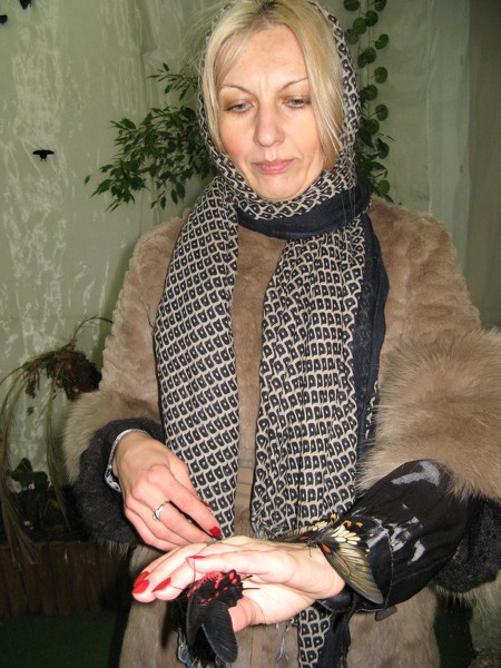 Alina Alina