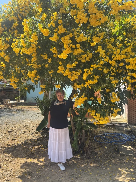 Vera