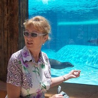 Milamia, Sydney (Australia), 72/173/68