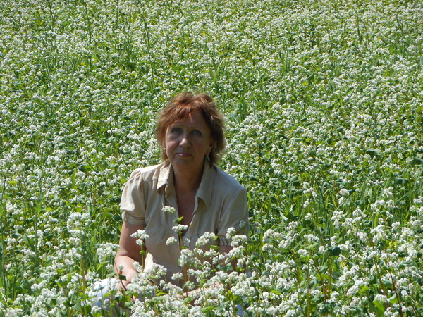 Lusi Lusi