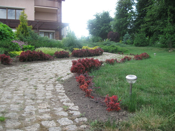 Elena