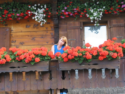 Evelina