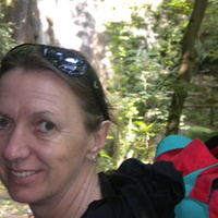 lika, Verona (Italy), 68/164/64