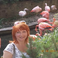 Larisa, Kiev (Ukraine), 63/160/62