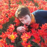 Tanya, Alanya (Turkey), 48/155/50