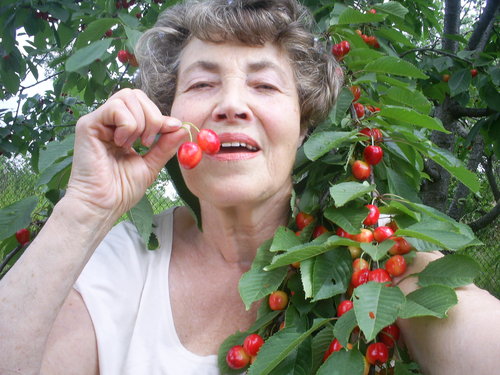 Svetlana